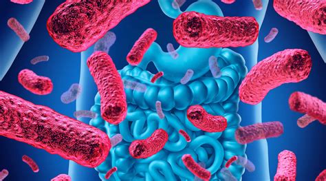 Early Gut Bacterial Colonization May Help Prevent Eczema Research Shows