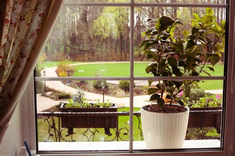 Beautiful View Through Window On Garden Stock Image Image Of Beauty