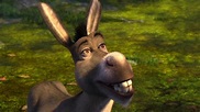 From Otis Redding to the donkey in Shrek: Try a Little Tenderness