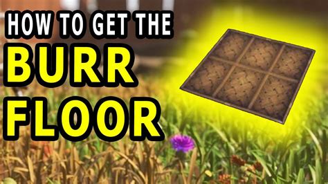 How To Get Burr Floors And Spiky Burrs In Grounded Youtube