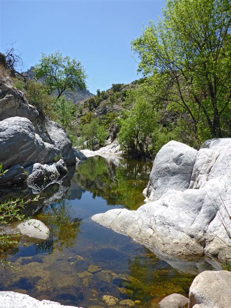 Pool And White Rocks Sabino Canyon Trail Sabino Canyon Recreation