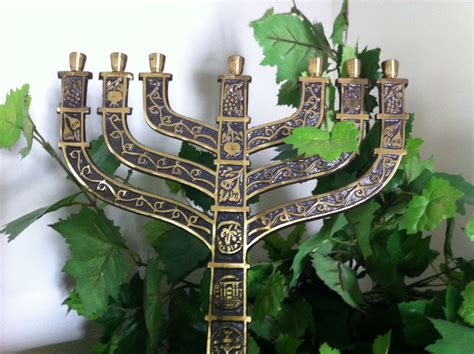 menorah with the fruit of israel photo by steve martin may 2013 artwork creative words