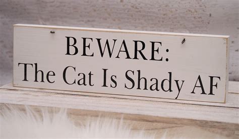 Beware Of Cat Sign Funny Park Art