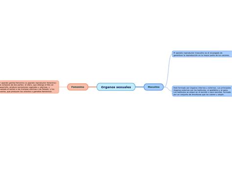 Organos Sexuales Mind Map