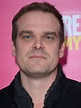 David Harbour Pictures - Rotten Tomatoes