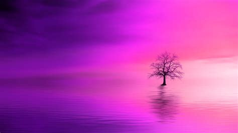 Image about pink in wallpapers by private user. Download wallpaper 3840x2160 tree, pink, horizon, lonely ...