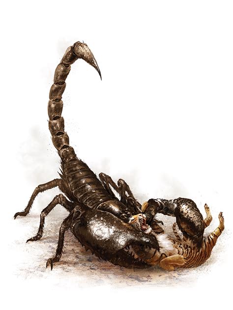 Giant Scorpion Monsters Archives Of Nethys Pathfinder 2nd Edition