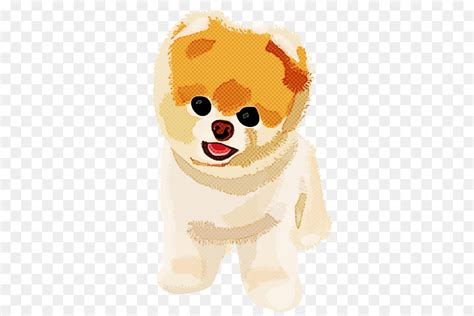 Pomeranian Anjing Kartun Gambar Png