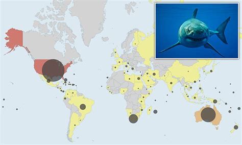 Worlds Shark Attack Hotspots Revealed In Interactive Map Trendradars