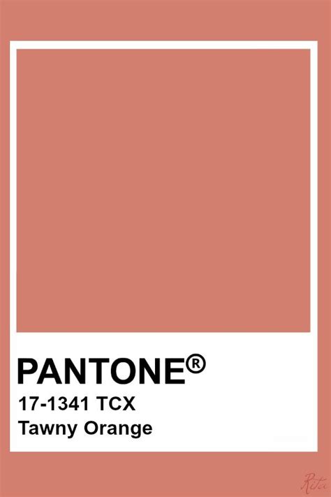 Pantone Tawny Orange Pantone Colour Palettes Pantone Color Pantone Tcx