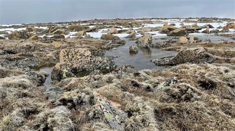 Photo Gallery — Hike Of The Week Tundra Communities Trail Leads You On