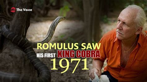 Worlds First And Only King Cobra Sanctuary In The World Youtube