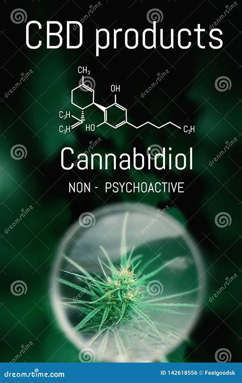 cbd cannabis formula cannabidiol molecule has antipsychotic effects medical hemp oil concept