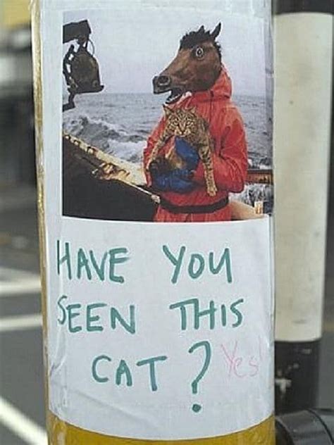 10 Hilarious Posters For Missing Cats Pet Signs Cat Posters Lost