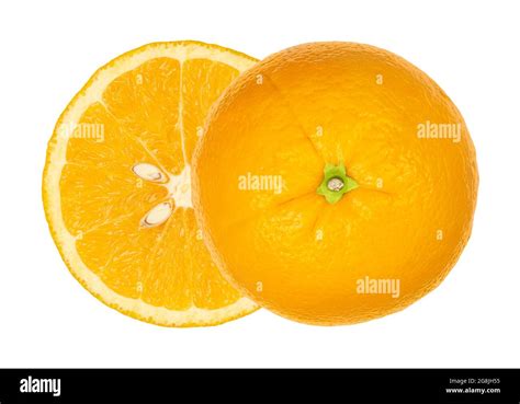 Citrus Albedo Hi Res Stock Photography And Images Alamy