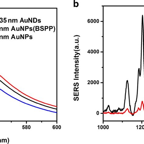 A The UVvis Spectra Of Of 15 Nm AuNPs 35 Nm AuNPs 1535 Nm AuNDs B