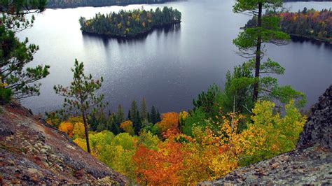 No Experience Required Visiting Algonquin Park 101