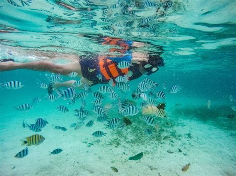 Snorkeling In Coron Palawan Philippines Palawan Coron Snorkling