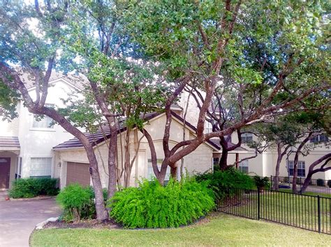 Best Trees To Plant Near House Tree Root Problems Arbor Oaks Tree