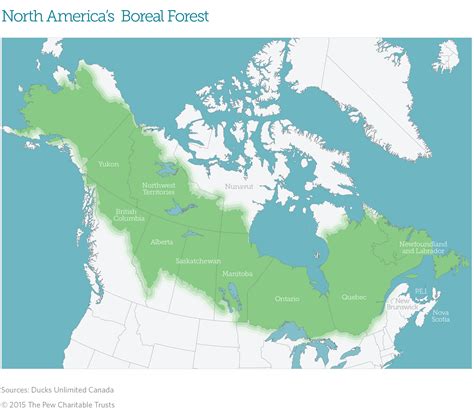Fast Facts Canadas Boreal Forest The Pew Charitable Trusts