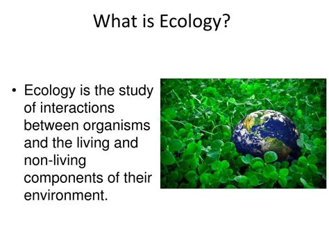 Ppt Ecology Powerpoint Presentation Free Download Id6076490