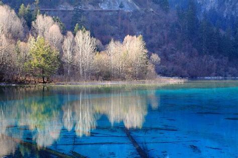 Five Flower Lake In The Jiuzhaigou Valley A National Park In