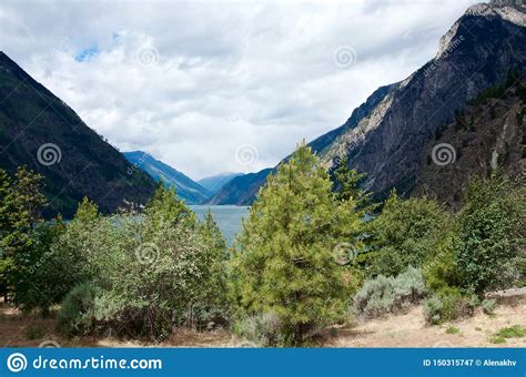 Mountain Turquoise Seton Lake And Coniferous Forest Stock Image Image