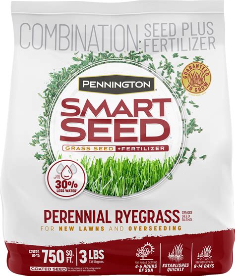 Pennington Smart Seed Perennial Ryegrass Grass Seed 3 Lbs