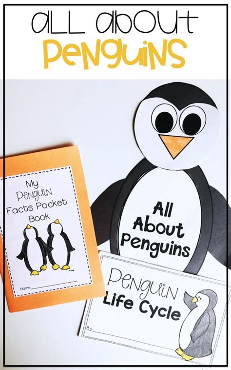 All About Penguins Life Cycle Research Craft Reading Science