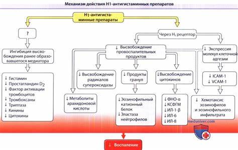 Гистамин Антигистаминные – Telegraph Картинка - Гистамин Антигистаминные – Telegraph
