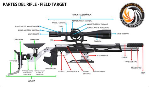 Las Partes Del Rifle De Field Target Field Target Colombia