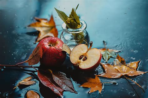 I Illustrate Moments Of Autumn And Rain With Still Life