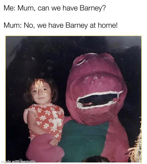 Barney At Home Rmemes