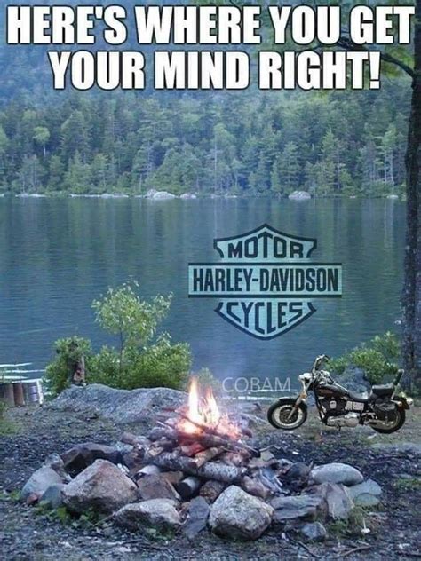 So Nice Biker Quotes Harley Davidson Art Motorcycle Humor