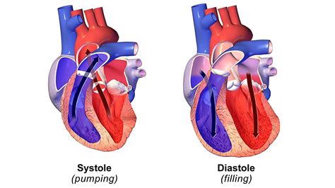 Diastolic Heart Failure And Systolic Heart Failure