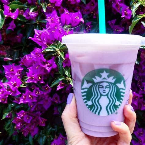 A Curated List Of 41 Awesome Speciality Drinks From Starbucks Secret