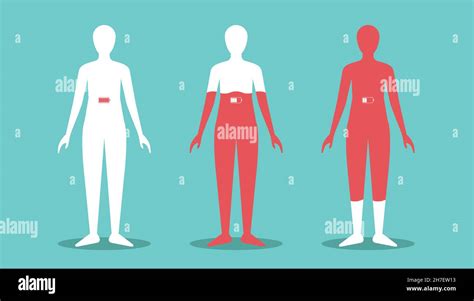 Lower Half Of The Body Stock Vector Images Alamy