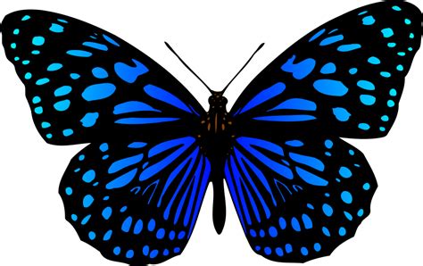 Onlinelabels Clip Art Butterfly 17 Colour 3