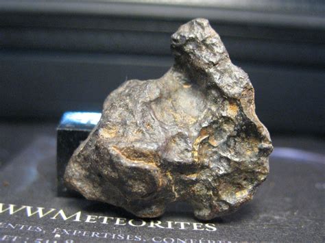Meteorite Nwa 14541 Mesosiderite Main Minerals Are Ca Pyroxene
