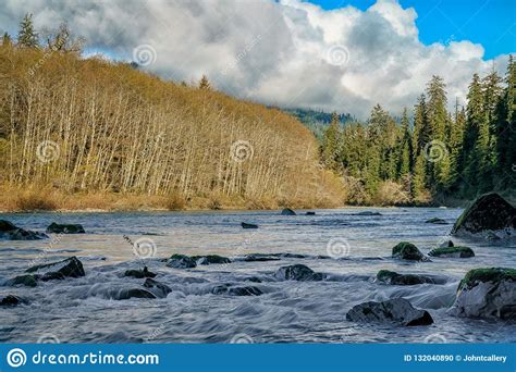 Queets River Late Afternoon Stock Photo Image Of Morning Landscape