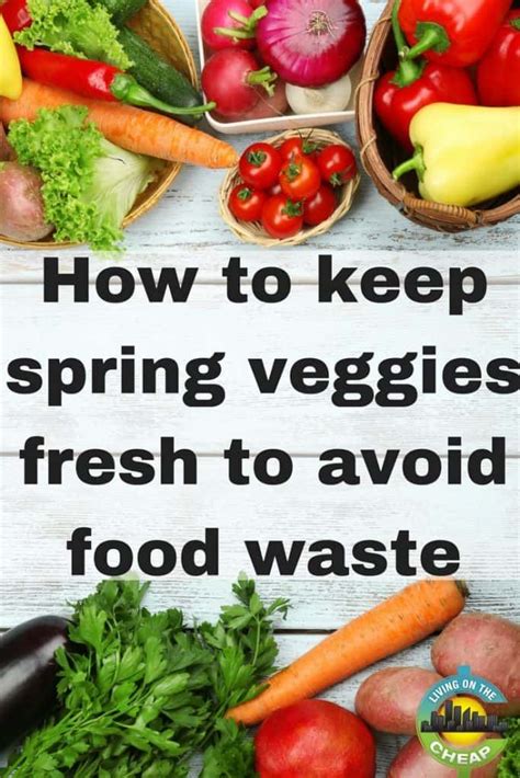 Ideas For Storing Fresh Spring Vegetables To Avoid Food Waste Healthy