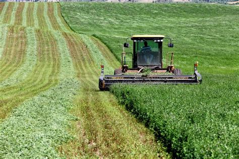 Harvesting Hay In An Idaho Alfalfa Field Editorial Photo Image Of