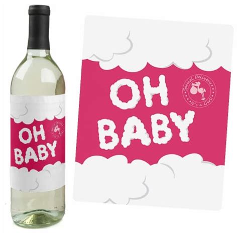 Big Dot Of Happiness Girl Special Delivery Stork Baby Shower Wine
