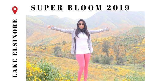 Super Bloom 2019 Poppy Fields In Walker Canyon Lake Elsinore