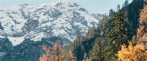 Download Wallpaper 2560x1080 Mountain Trees Peak Snow Landscape