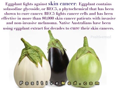 Our Journey Of Completionbodyheartsoul Eggplant Fights Against Skin