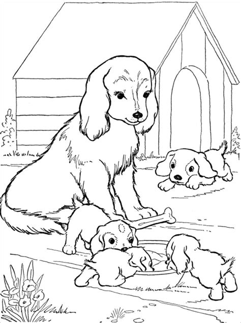 Baby Animals And Mom Coloring Pages Coloringbay