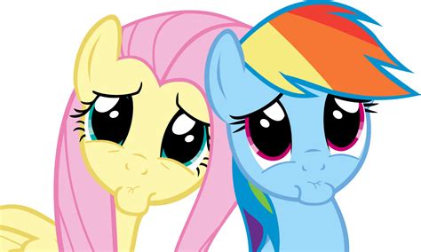 Fluttershy And Rainbow Dash Making Begging Faces My Little Pony