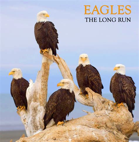 Albums Back From The Dead Eagles The Long Run Double Album Version