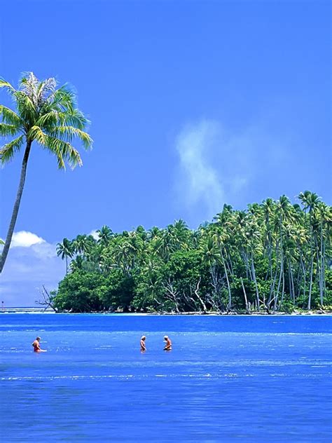 47 Beautiful Tropical Islands Desktop Wallpaper Wallpapersafari